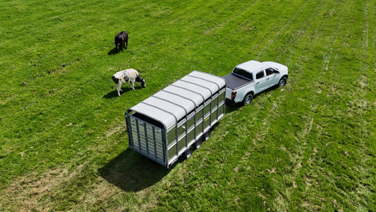 DP120ST 14' x 6' Tri-axle Livestock Trailer with Ramps