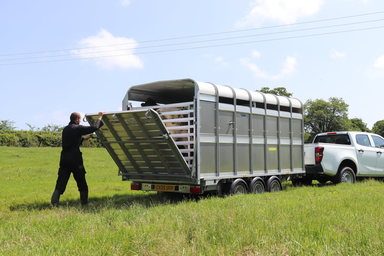 Livestock Trailers