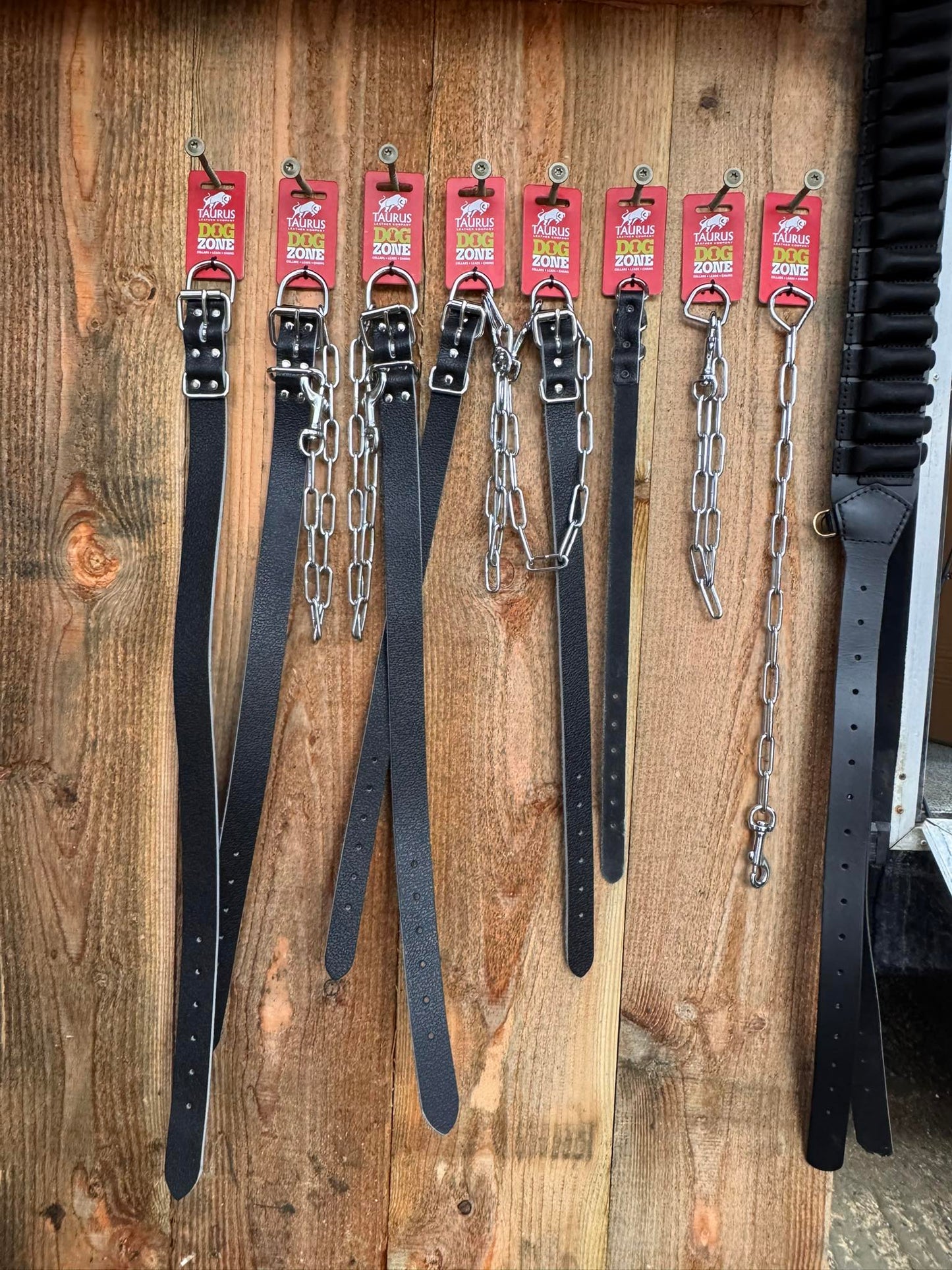 Taurus Leather Company Drover Dog Collars w/Chain