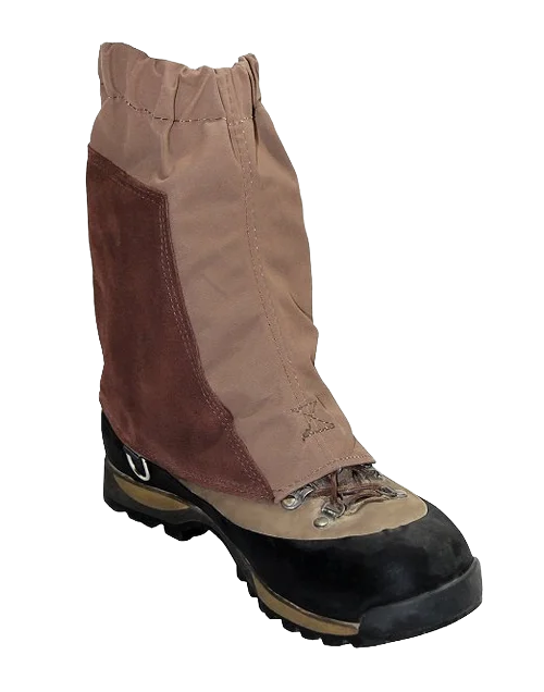 Wilkins Canvas