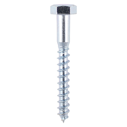 Coach Screws - Hex - Zinc